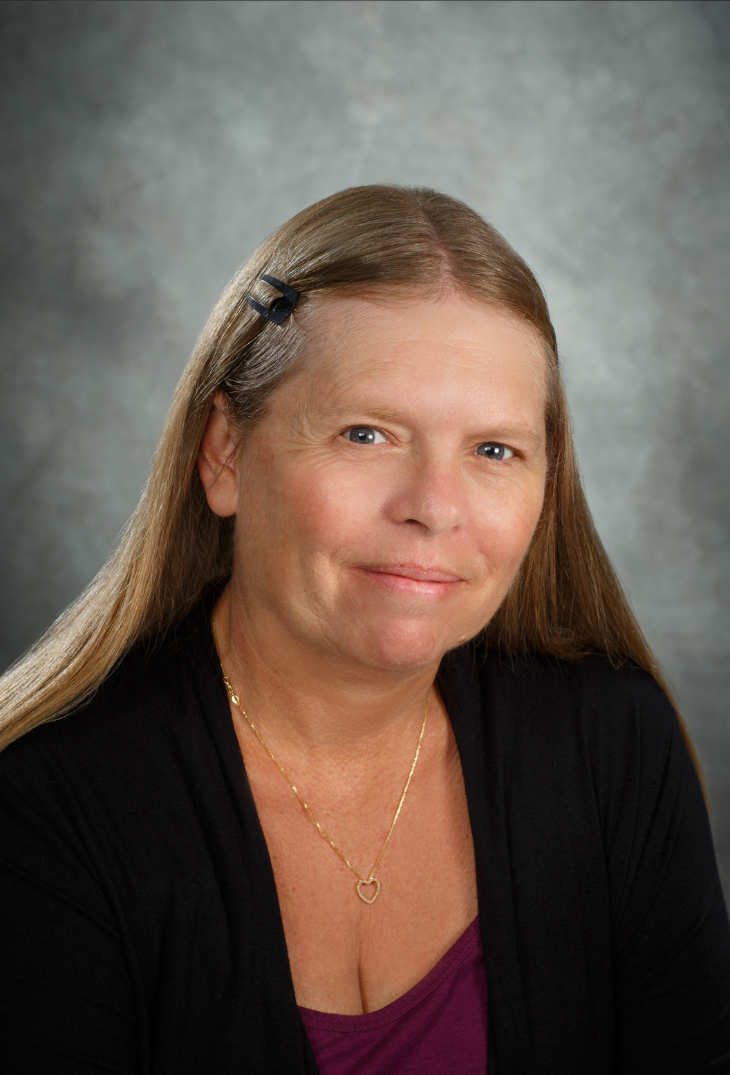 lisa falkner
